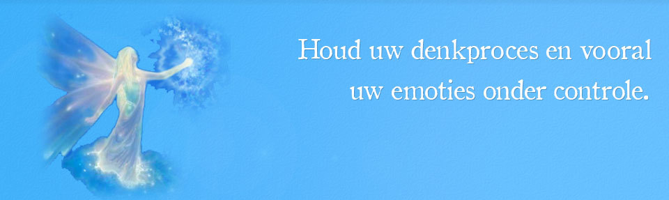 1336249569-header4.jpg