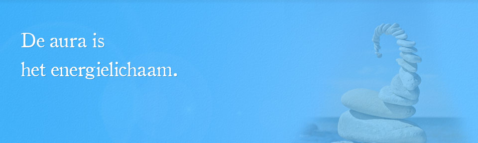 1336249569-header9